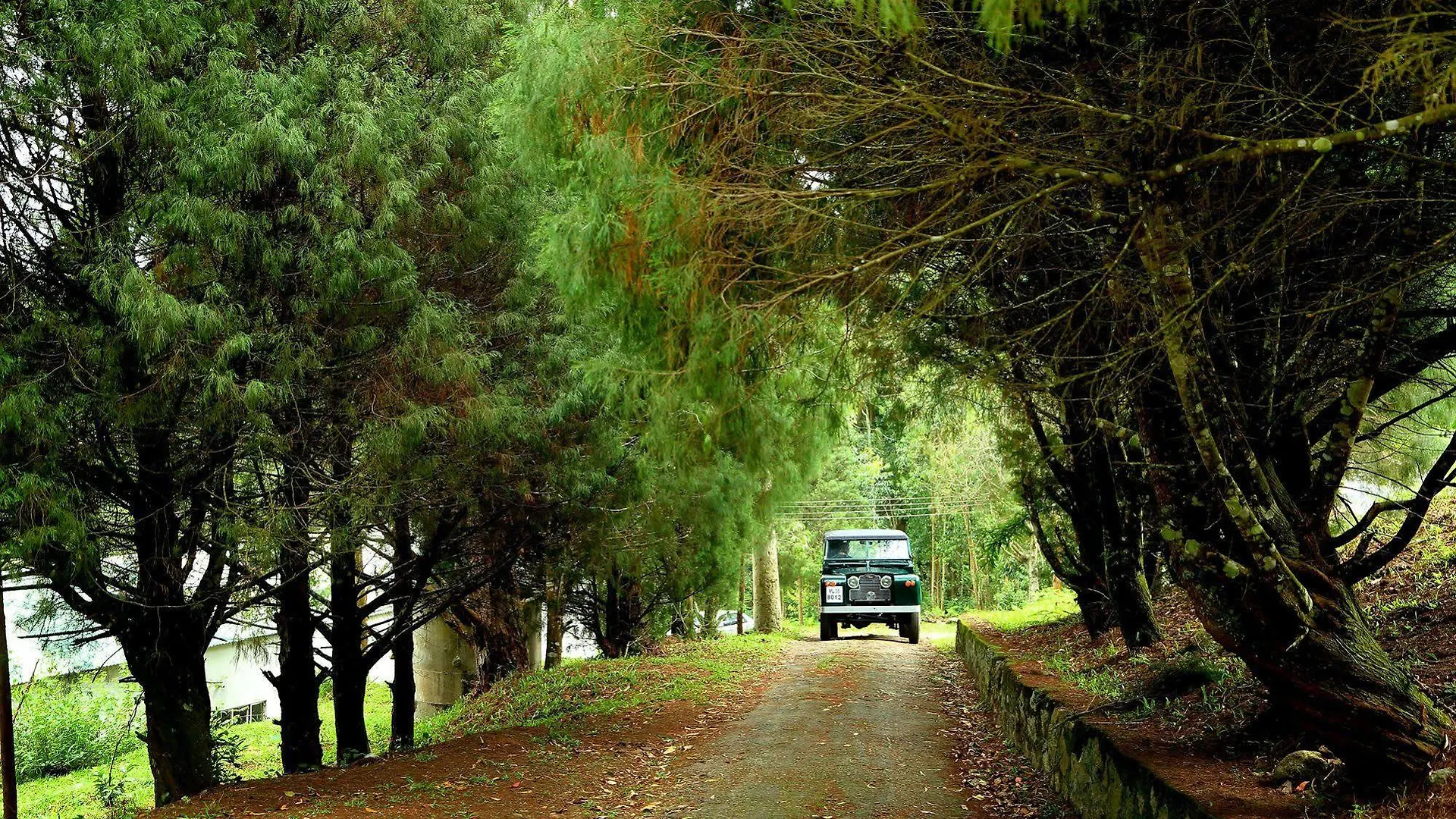Hotel Green Jungle Holiday Resort Munnar